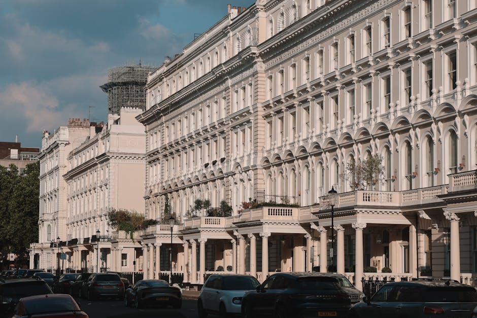 Avoid hidden removals costs in Belsize Park