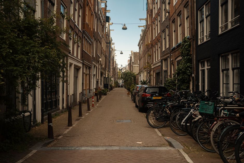 A narrow residential street in Belsize Park lined with multi-storey brick townhouses featuring large windows and decorative facades. The street surface is paved with bricks, and there are black bollards along the sidewalk to prevent vehicle parking on the footpath. On the right side, several bicycles are parked and secured with locks, with some in bike racks attached to the pavement. A black car is parked adjacent to the bicycles, partially blocking the entrance to a property. In the background, a moving dog is visible walking along the street, which is illuminated by streetlights suspended from wires overhead. The scene is under natural daylight, capturing the typical urban environment where home relocation or furniture transport could occur, with visible elements relevant to house removals and the logistics of moving objects along narrow streets, as managed by companies like Belsize Park Movers.